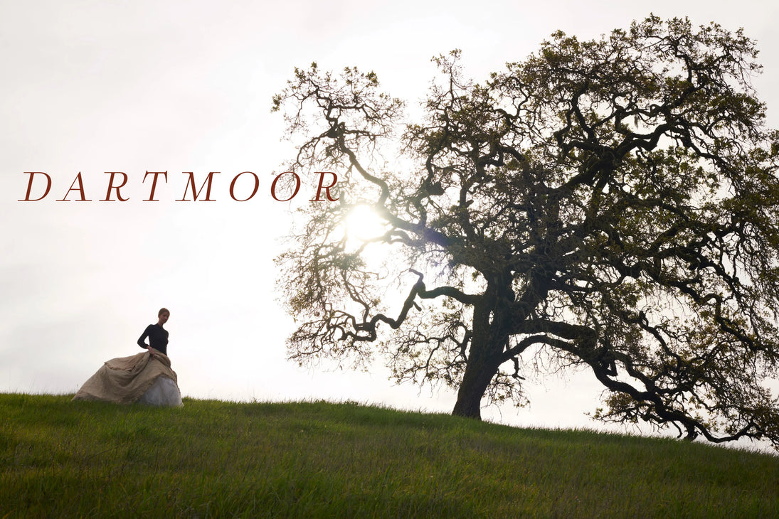 cinema collection: mythology – dartmoor