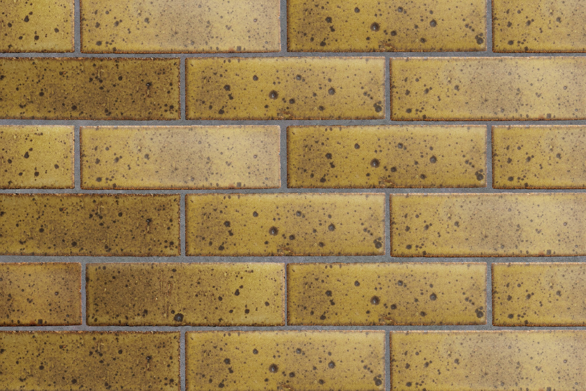 CA0004_cle-tile-brick-new-california-guild-2x8-standard-issue-cardoon-wall.jpg