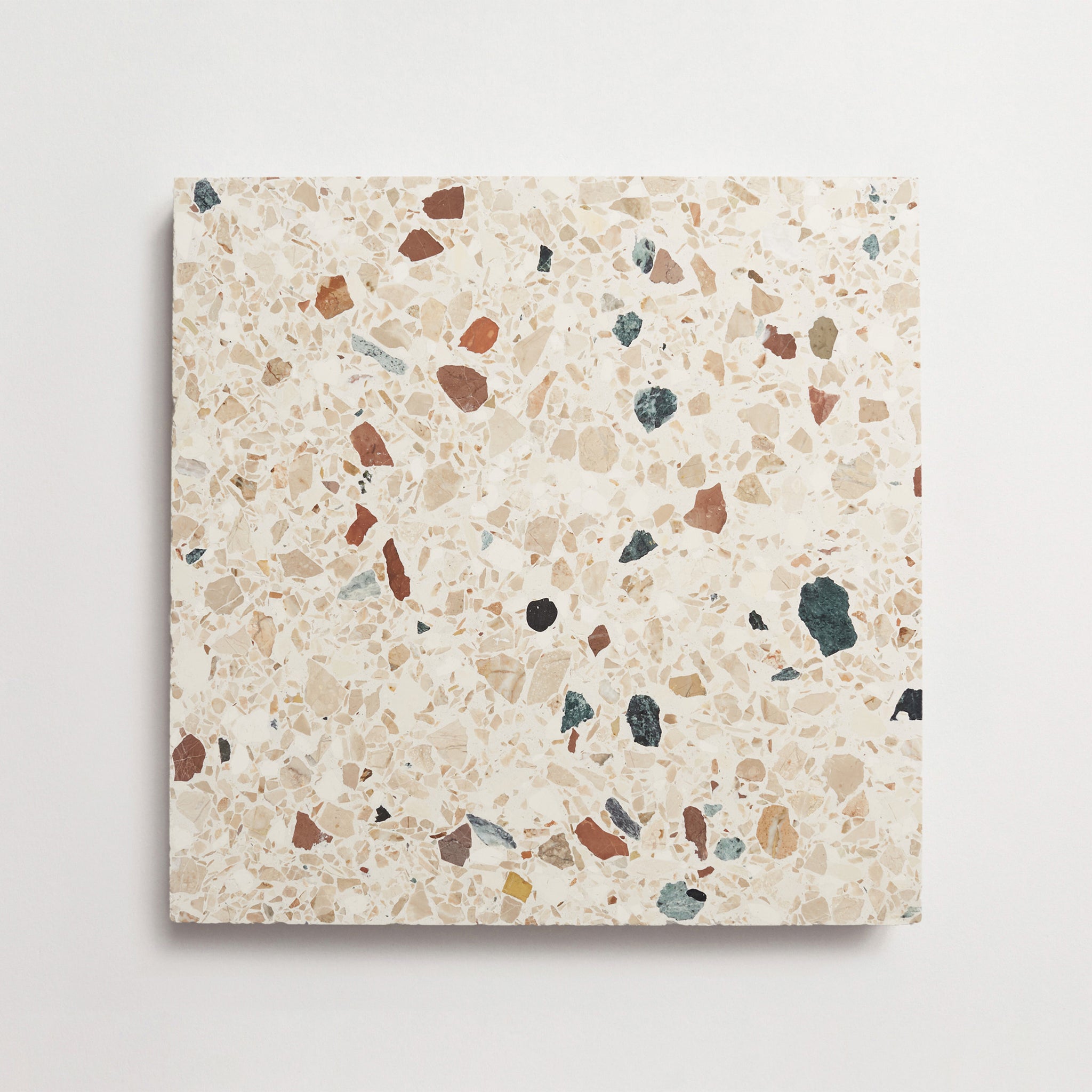 Dolce Vita Terrazzo | Torrone IV | Grand Stout | Blanco | Honed ~ 12"x12"x0.625"