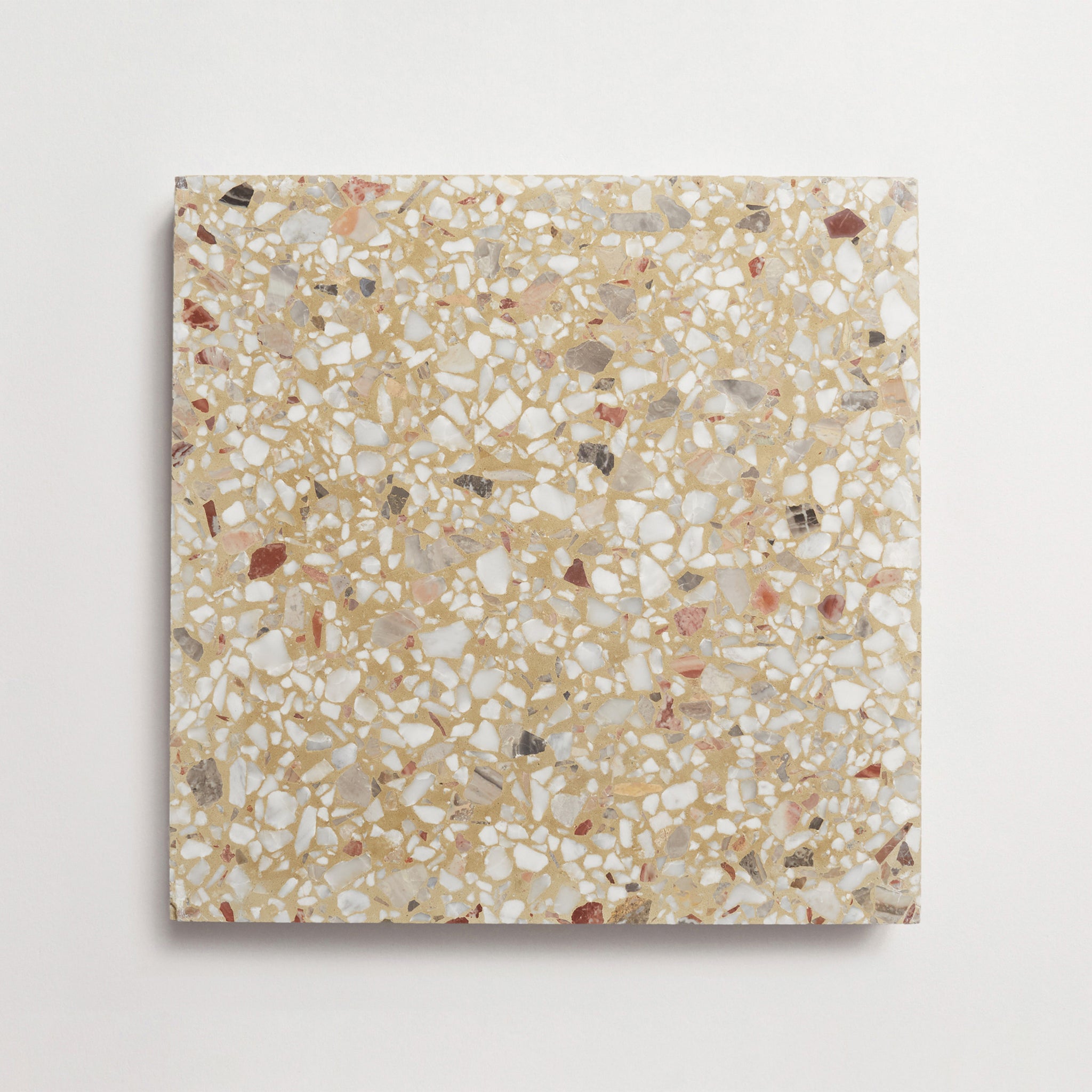 Dolce Vita Terrazzo | Torrone II | Grand Stout | Fungo | Honed ~ 12"x12"x0.625"