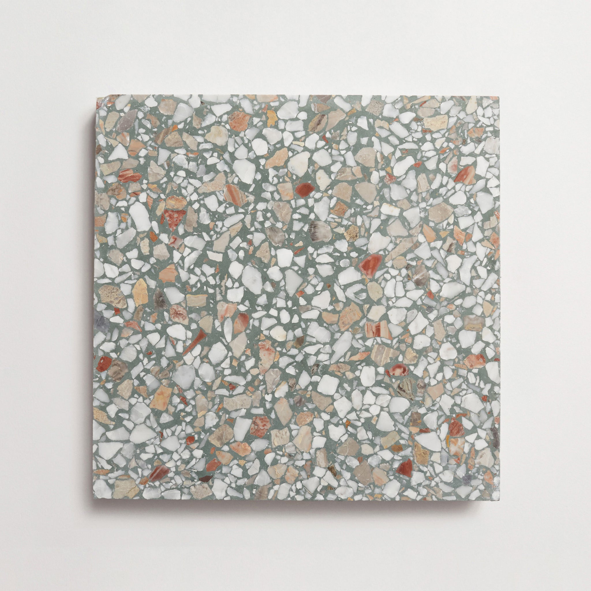 Dolce Vita Terrazzo | Torrone II | Grand Stout | Foglia | Honed ~ 12"x12"x0.625"