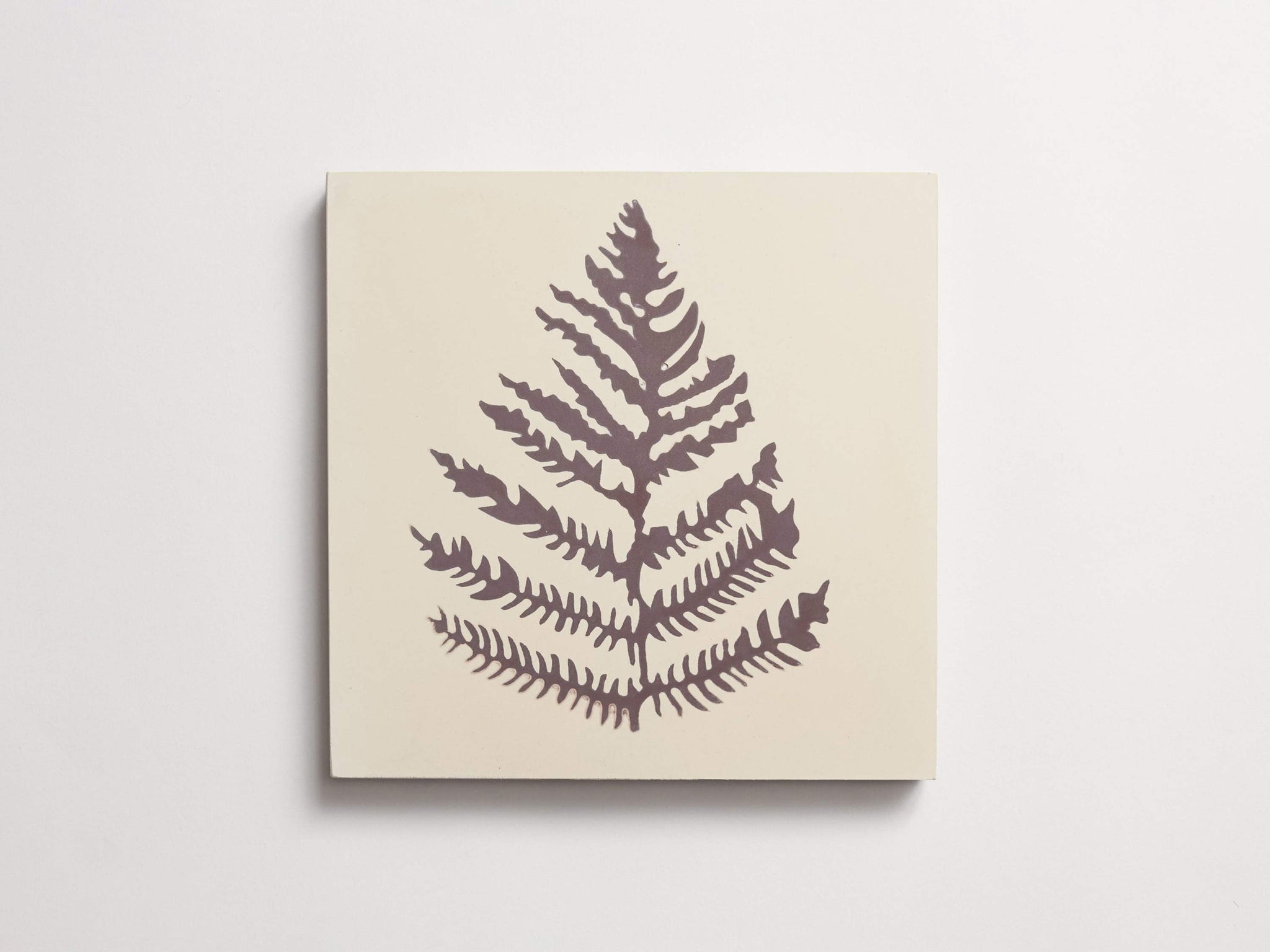 cement | erica tanov | fern | plaster + taro ~ 8"x8"x0.625"