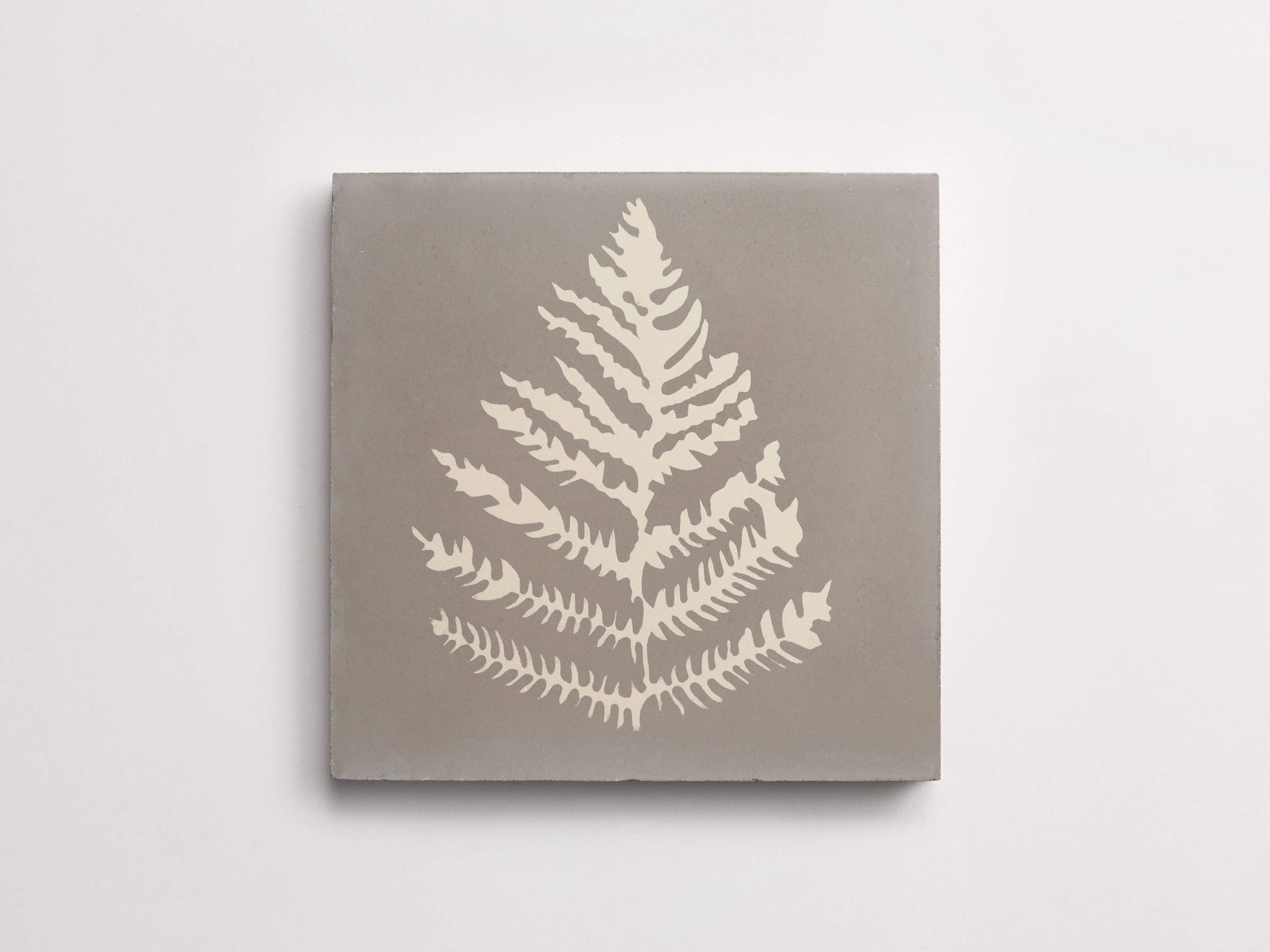 cement | erica tanov | fern | metal + plaster ~ 8"x8"x0.625"